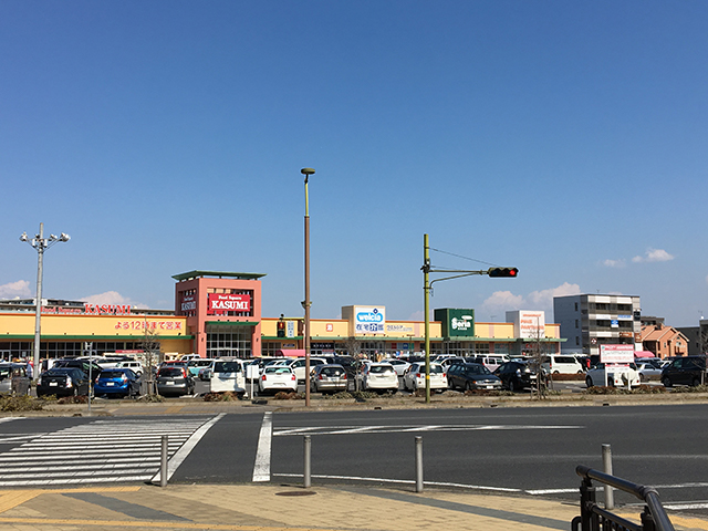 すぐ近くに大型ショッピングモールがあります。
